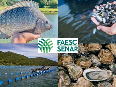 Sistema Faesc/Senar reforça parceria estratégica com a ExpoMAR 2026 em Itajaí 