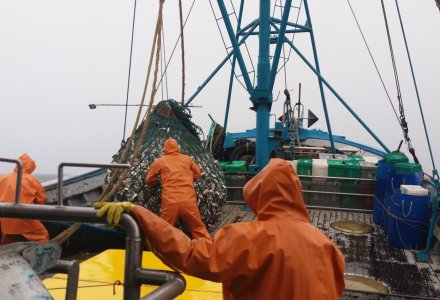 Lorem ipsum dolor sit amet