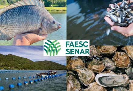 Sistema Faesc/Senar reforça parceria estratégica com a ExpoMAR 2026 em Itajaí 