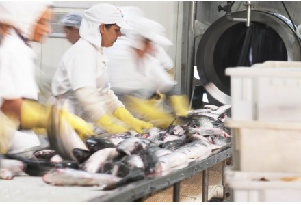 FIESC: Economia do mar debate sustentabilidade e inovação em evento em Itajaí