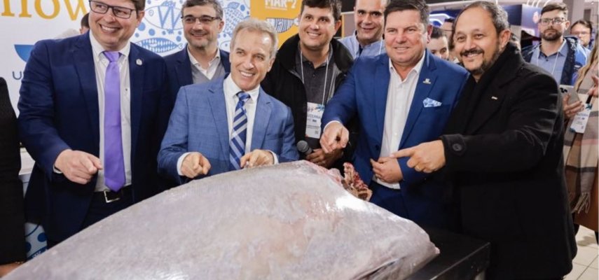 Lorem ipsum dolor sit amet consectetur