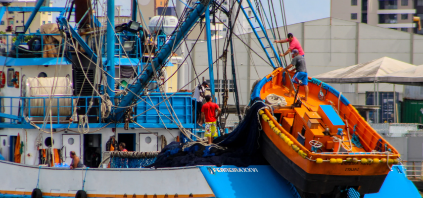 Lorem ipsum dolor sit amet consectetur