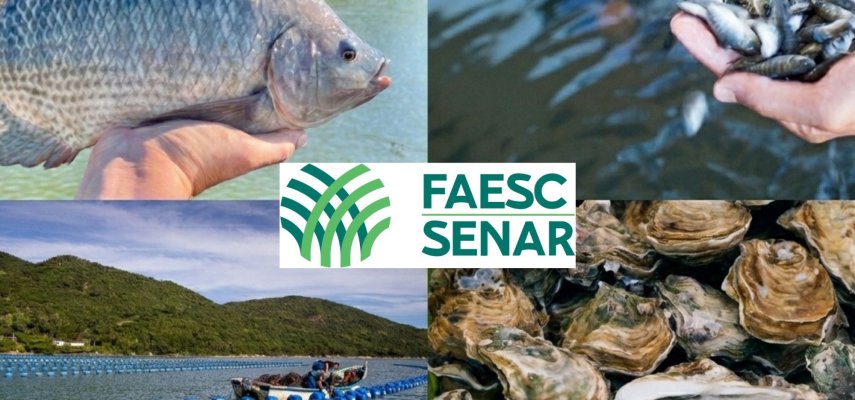 Lorem ipsum dolor sit amet consectetur