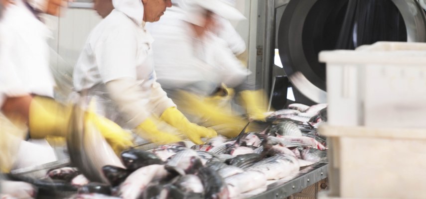 Lorem ipsum dolor sit amet consectetur